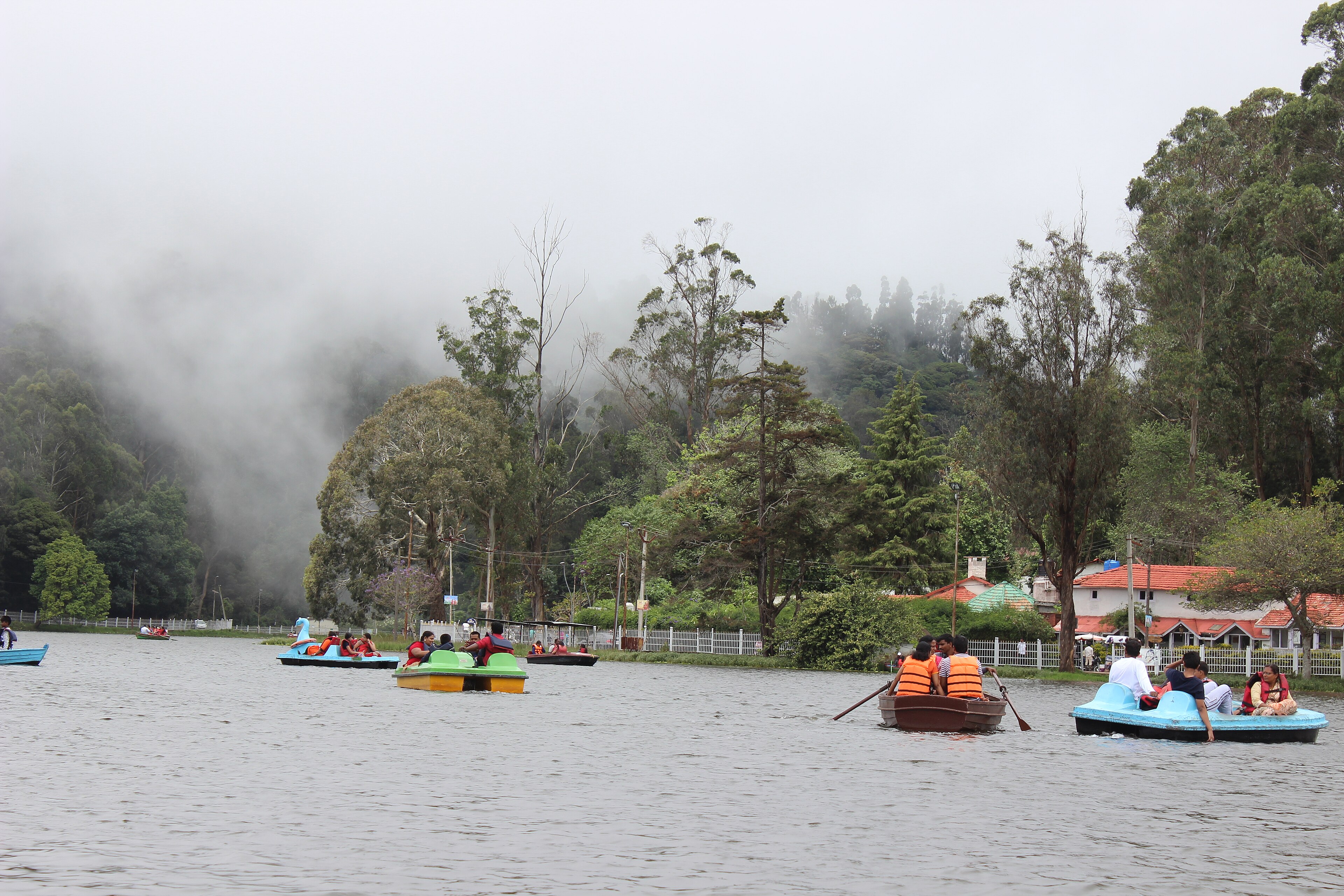 Kodaikanal & Wayanad Misty Mountain Escapade