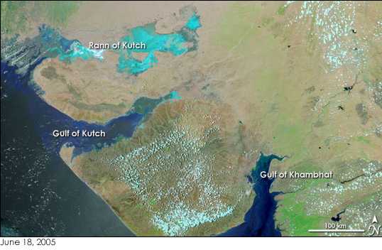 Rann of Kutch White Desert Festival